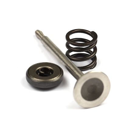 Briggs & Stratton Exhaust Valve 494191